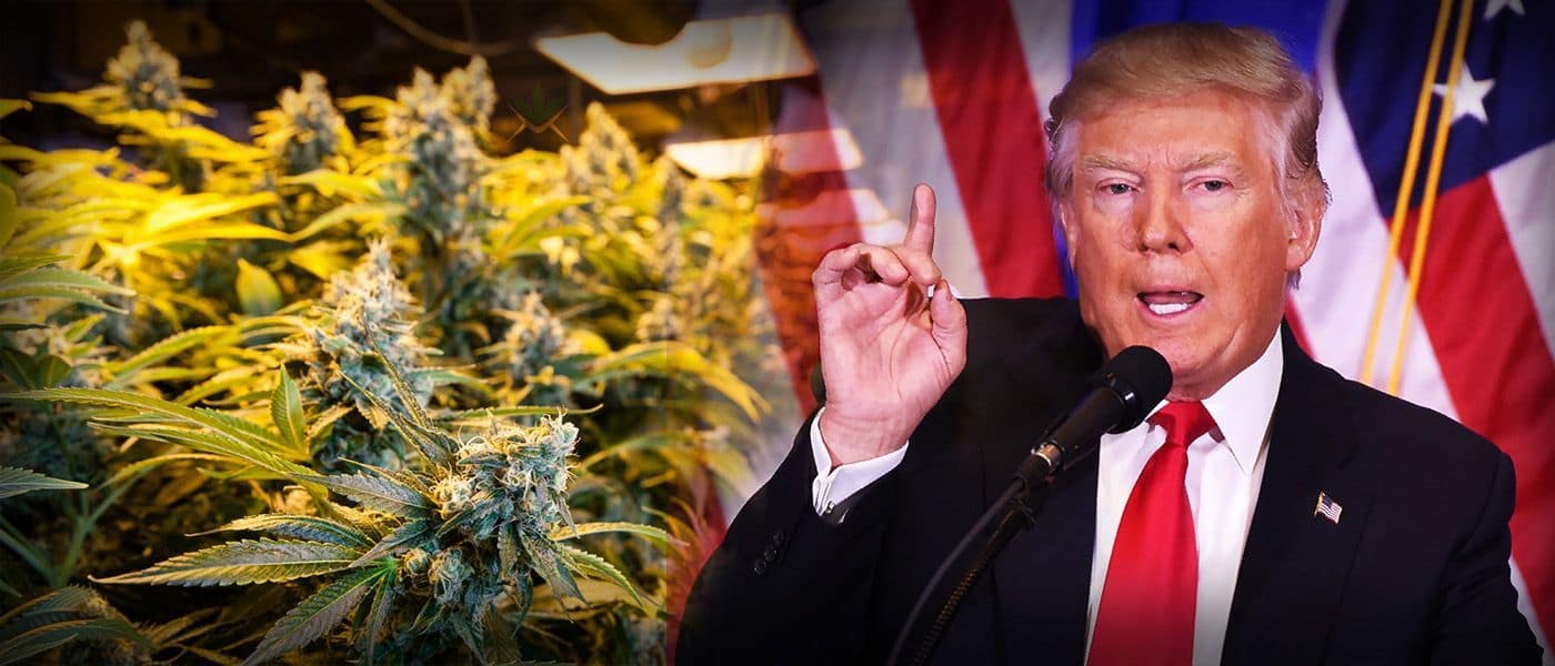 Why No One Should Assume Trump Is Pro-Marijuana