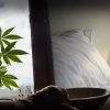 The Ultimate Guide To Cannabis And Sleep