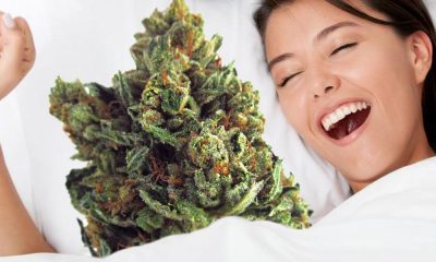 Strains For Your Next Wake And Bake Session