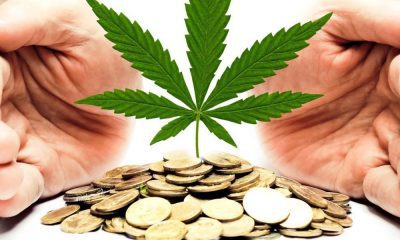 5 things to know before investing in cannabis stocks