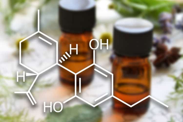 The 6 Most Important Cannabinoids And Why They're Good For You