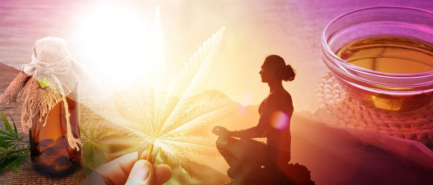 The 6 Coolest Cannabinoids and Why They're Good for Your Mind and Body