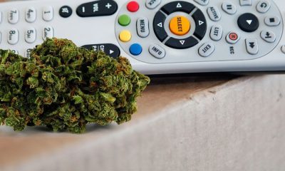 8 Great Things To Watch When You Have Weed And Netflix