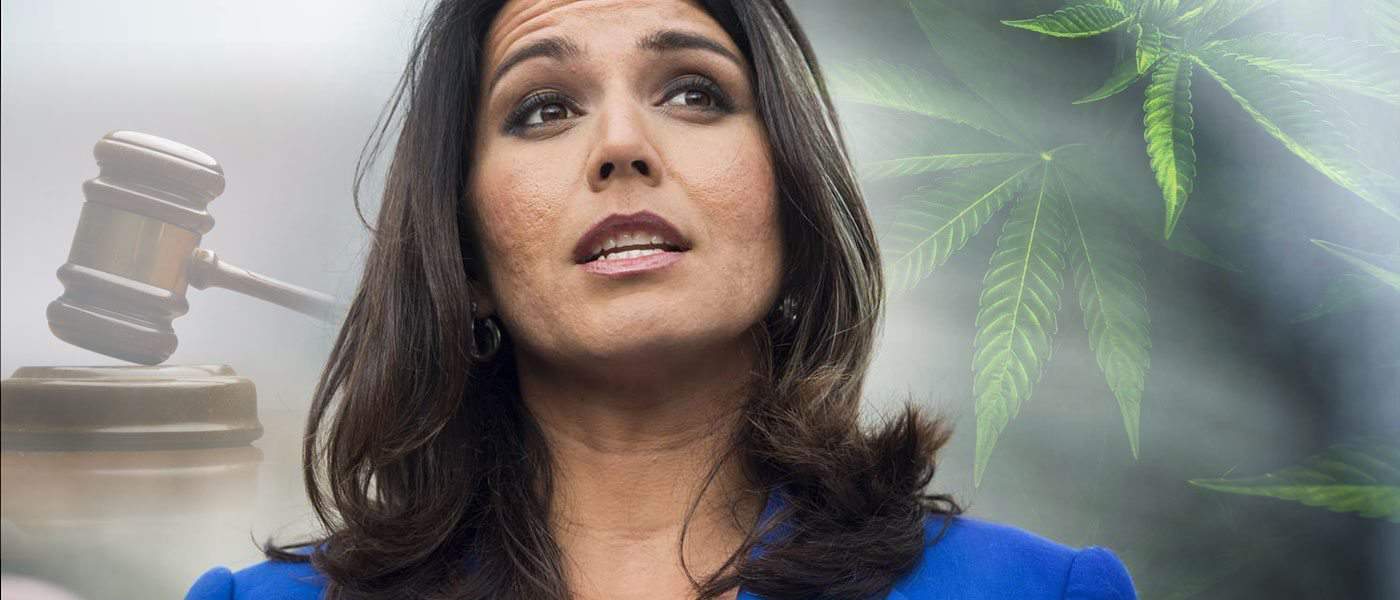 This Hawaiian Lawmaker Just Told Congress To Decriminalize Cannabis