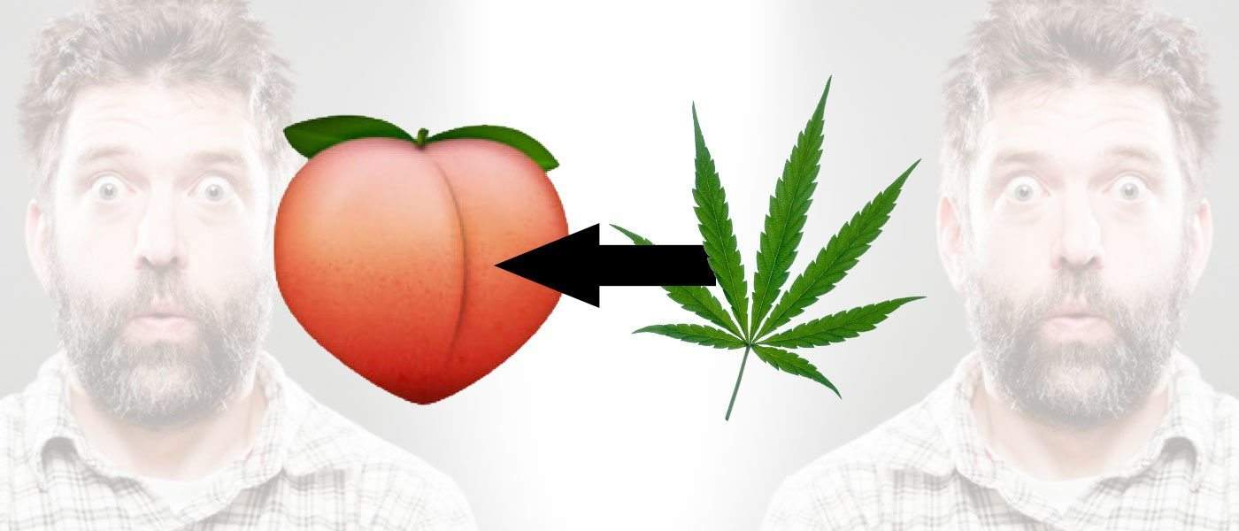Doctors Claim Putting Cannabis In Your Anus Is More Effective Than Smoking Joints