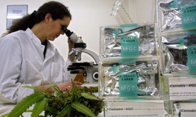 If You're An Expert Weed Smoker, These Scientists Have A Job For You!