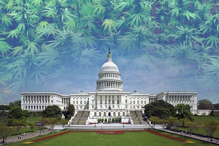 First Step to Legalization? Lawmakers Announce Path to Cannabis Reform