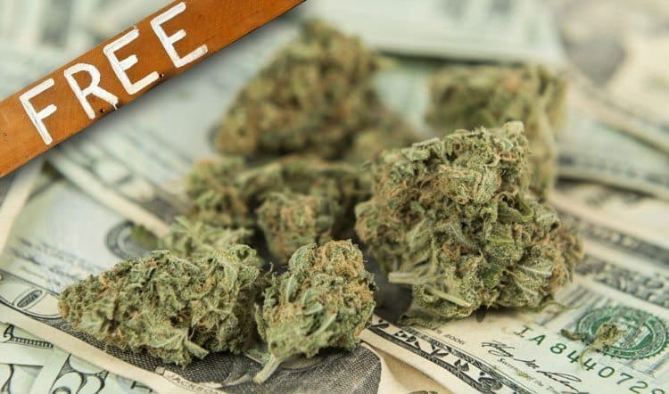 Someone Accidentally Donated Almost 4 Pounds Of Weed To Goodwill