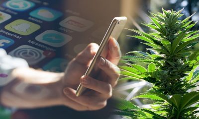 The 6 Most Influential Social Media Stars Shaping Cannabis Culture Today