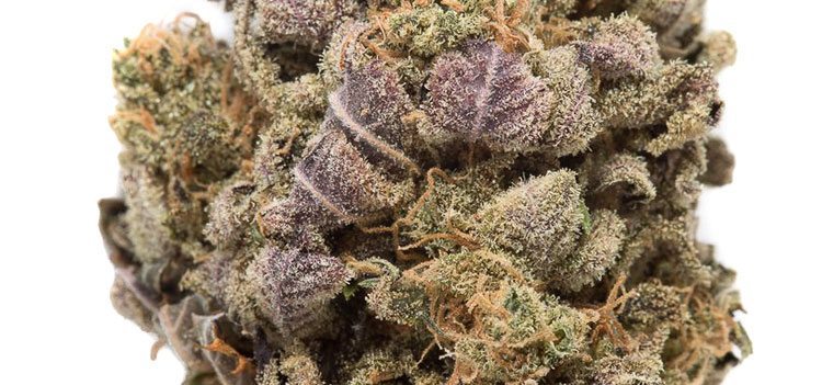 20 Best Strains For Getting Rid Of Nausea