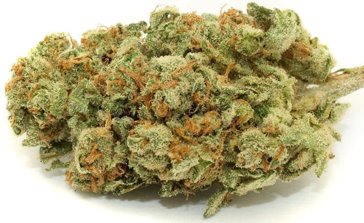 20 Best Strains For Getting Rid Of Nausea