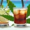5 Ways To Infuse Any Drink With Cannabis