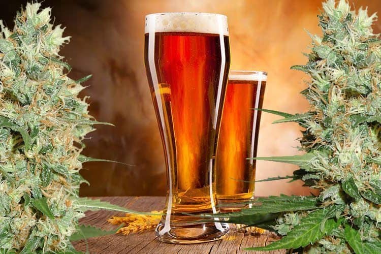Become A Weed Connoisseur By Pairing Your Bud With The Perfect IPAs