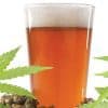 Become A Weed Connoisseur By Pairing Your Bud With The Perfect IPAs