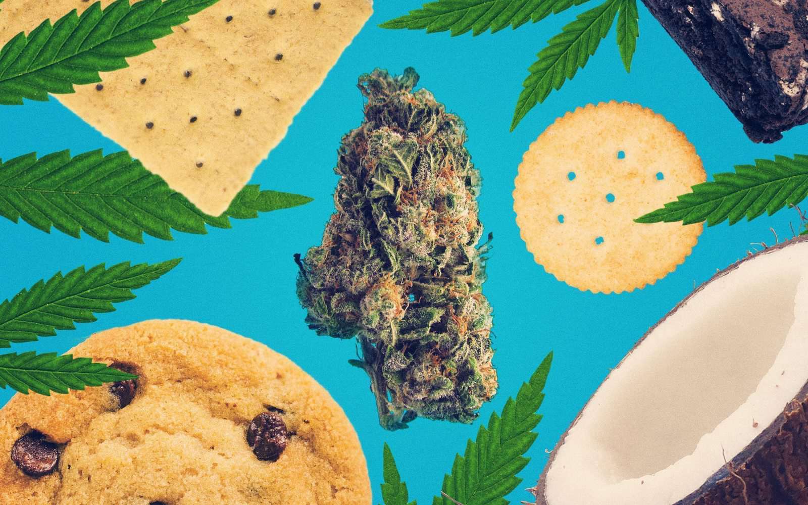 Best Edibles For When You're Low On Weed