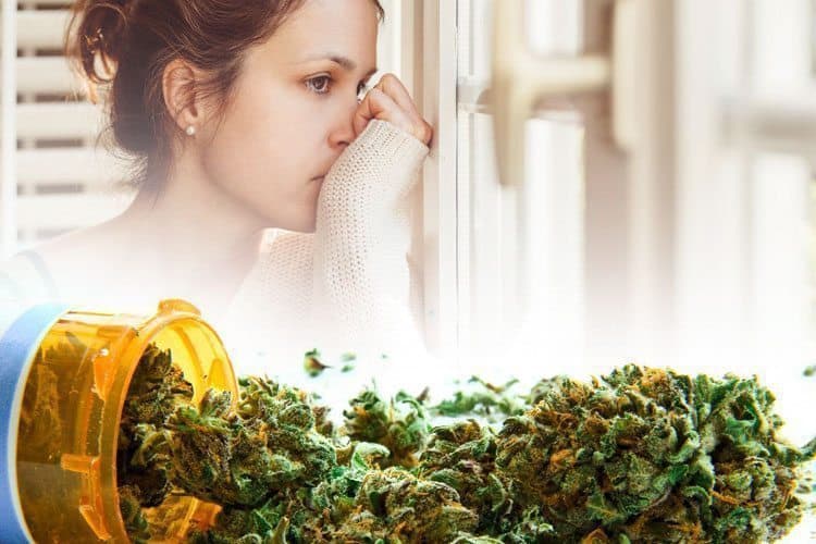 Best Strains For Treating Anxiety