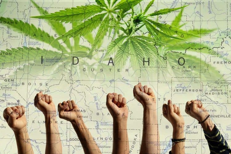 Boise Hempfest Celebrates Weed Despite Idaho's Insane Pot Laws