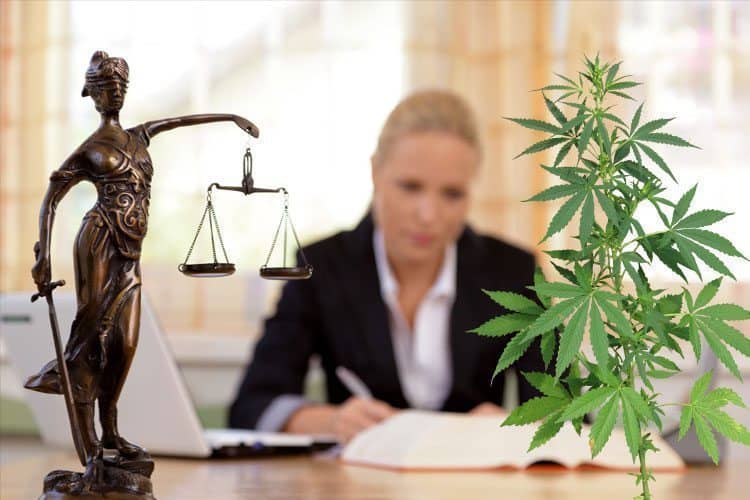 Cannabis Lawyers Are Setting Up Shop In Legal States