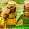 Cannabis Tinctures: Here Are 3 Ways To Make Them At Home