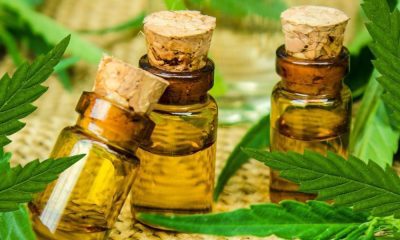 Cannabis Tinctures: Here Are 3 Ways To Make Them At Home