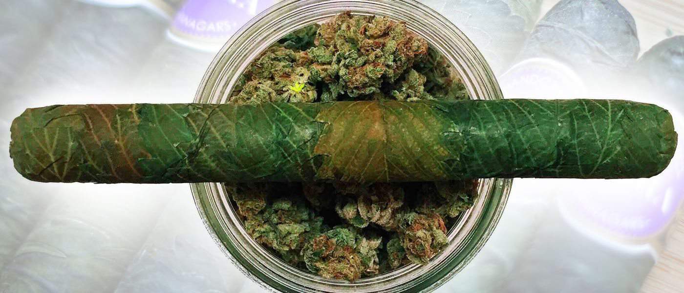 cannagar-cigar-made-entirely-cannabis-6.jpg