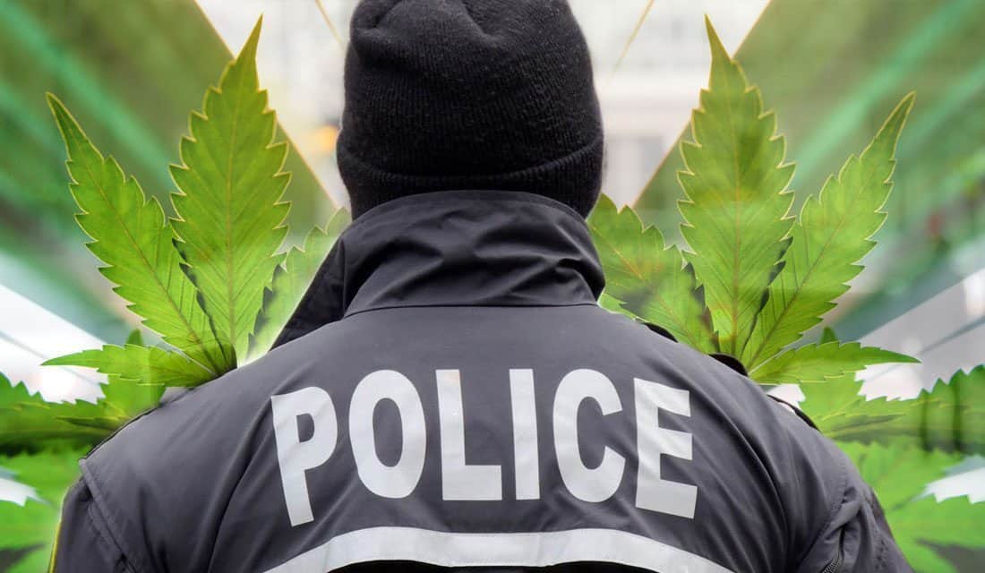 Cops Explain Why They Support The Decriminalization of Marijuana