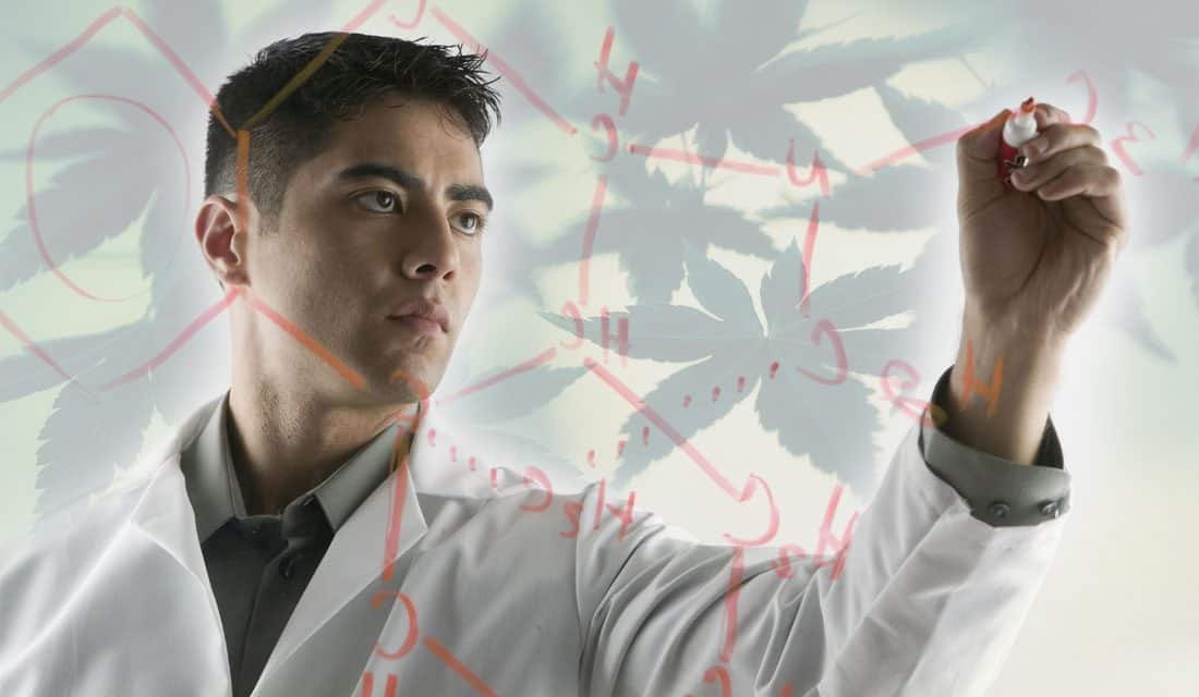 Here Are All The Ways Federally Grown Weed Is Ruining Research