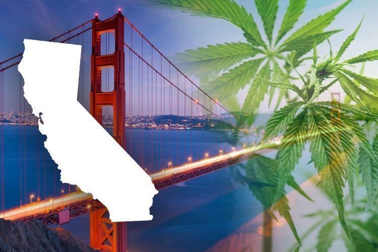 Here's How These 5 Weed-Legal States Are Fighting A Federal Crackdown