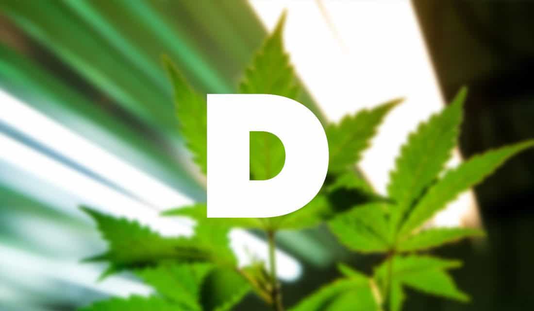 Important Cannabis Terms You Need to Know