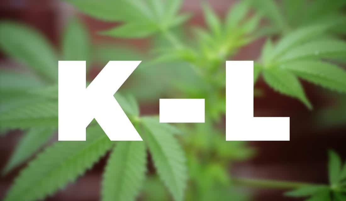 Important Cannabis Terms You Need to Know