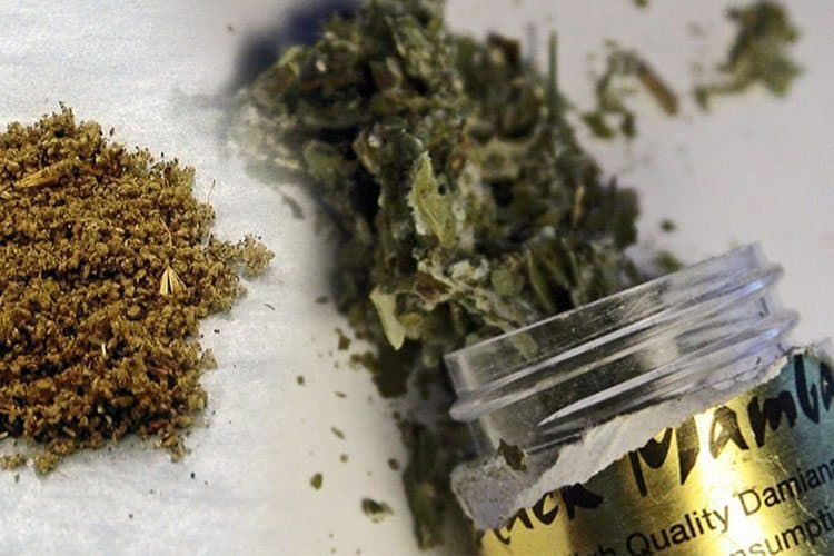 Man Dies From Black Mamba As England's Synthetic Weed Epidemic Spreads