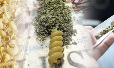 The Pasta Filter: How To Roll A Joint Using Macaroni