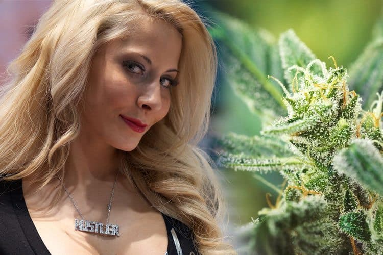 Pornstars Who Love Weed And Want The World To Know Page 6 Of 11