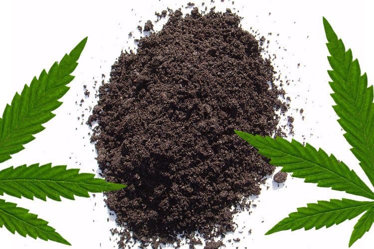 The 16 Most Important Nutrients For Healthy Cannabis Plants