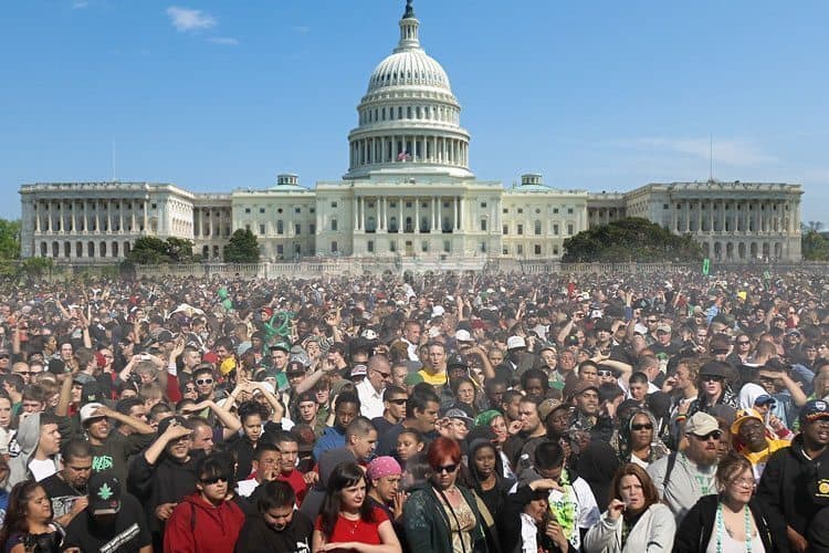 Protestors Are Giving Free Joints To Members Of Congress On 420