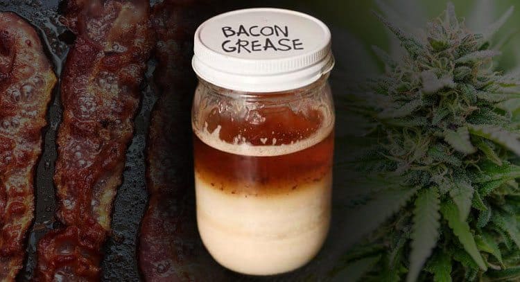 This Weed Bacon Is The Best Edible Ever