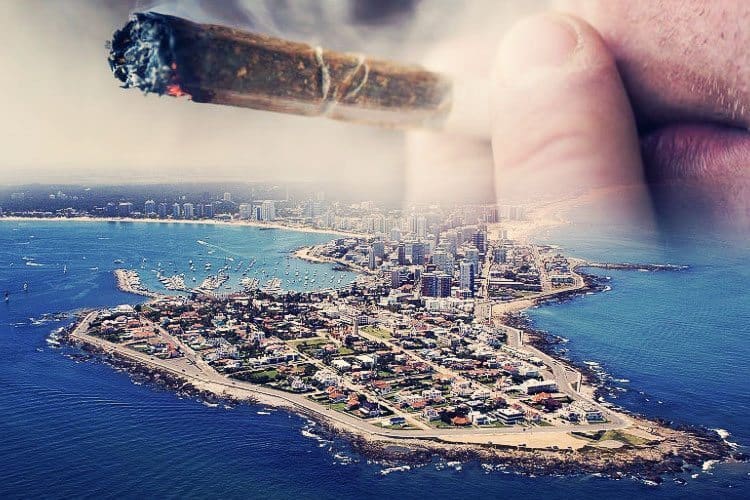 Uruguay Is About To Start Selling Over-The-Counter Recreational Weed