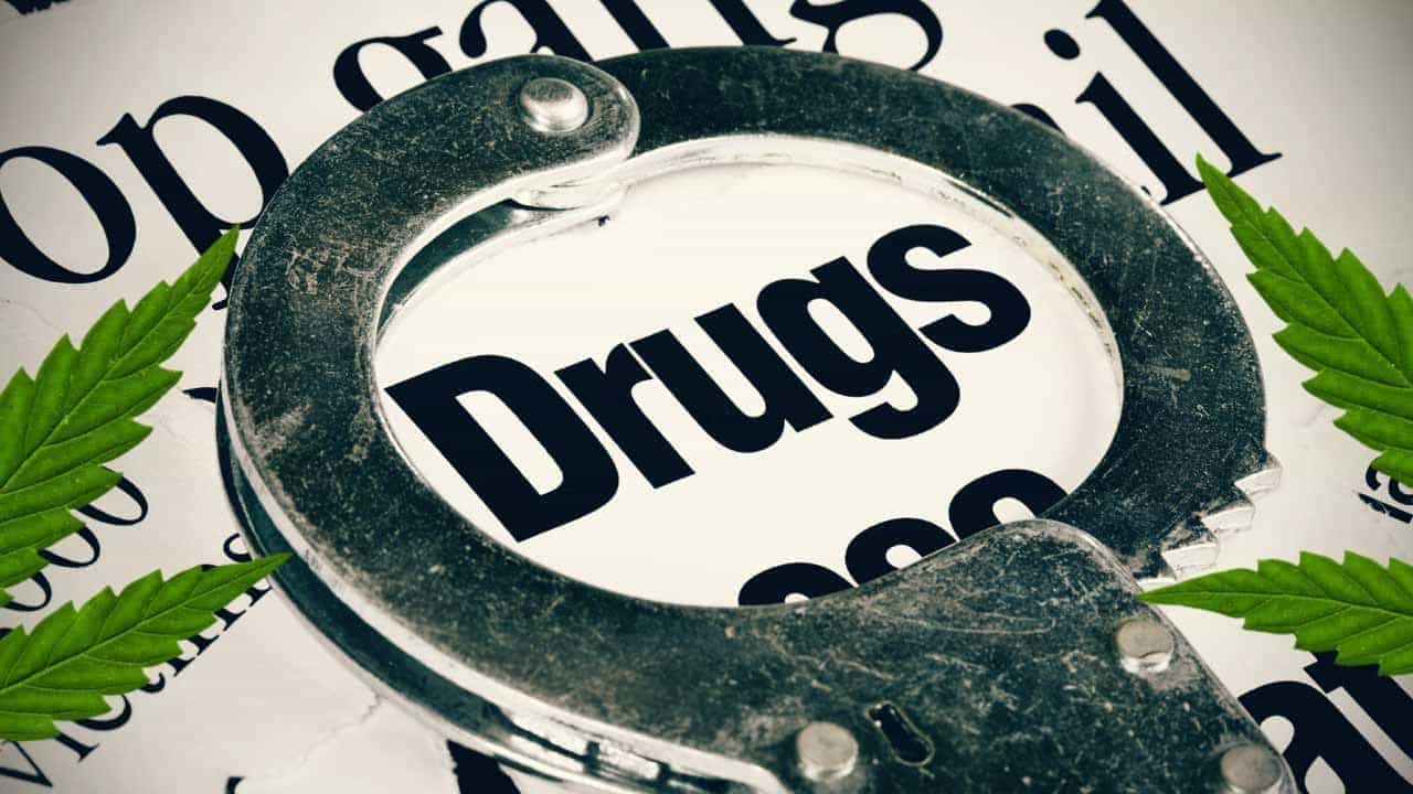 10 Reasons The War On Drugs Must End