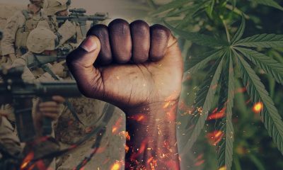 10 Reasons The War On Drugs Must End