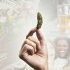 10 Reasons Why You Should Smoke Weed And Drink Less