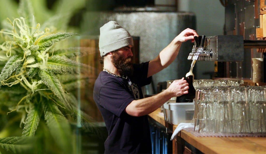 How to Brew Your Own Cannabis Beer