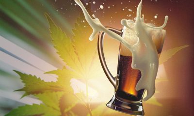 How to Brew Your Own Cannabis Beer