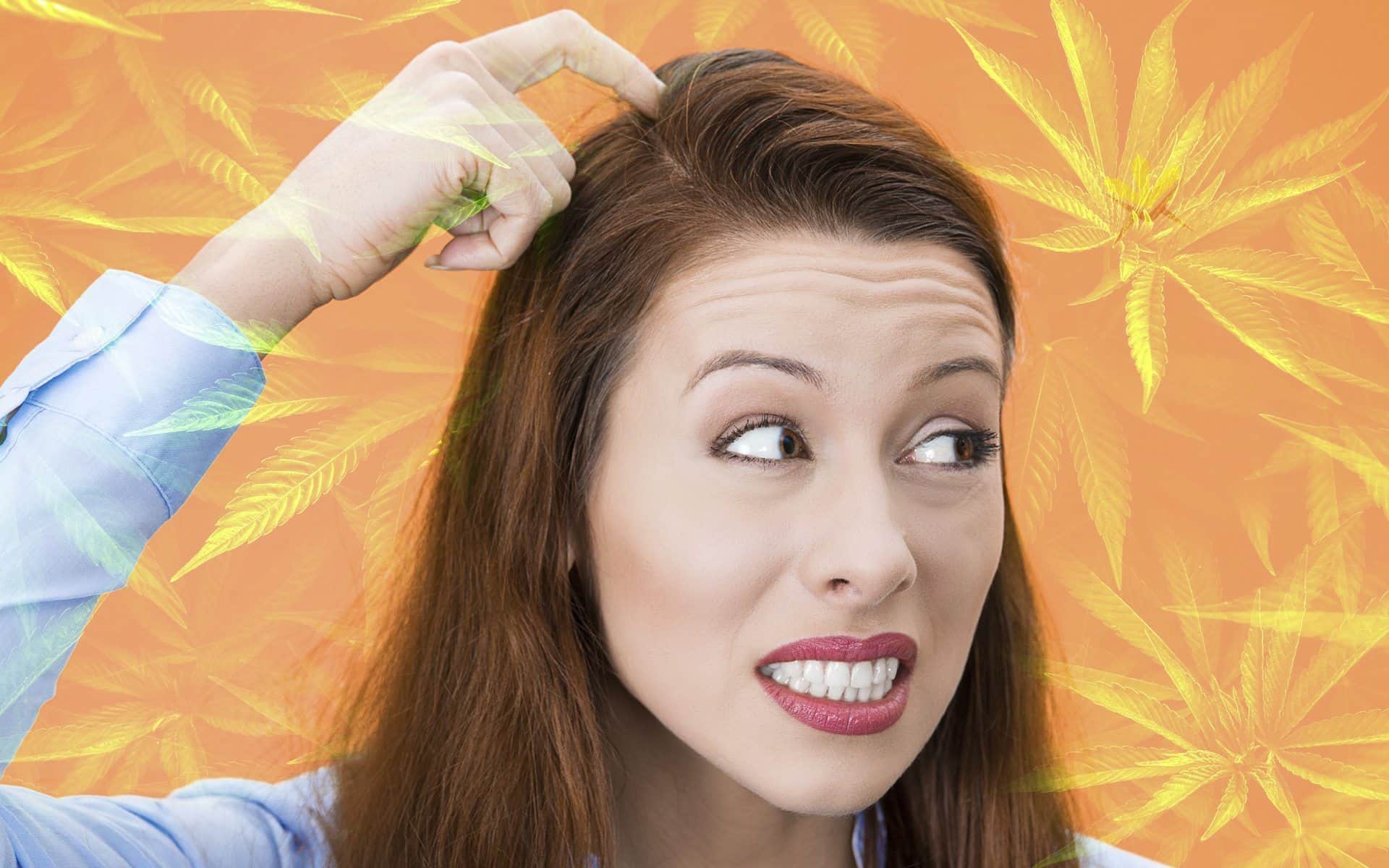 Can Cannabis Really Restore Your Aging Memory?
