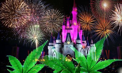 Disney Bans Cannabis From Their Theme Parks