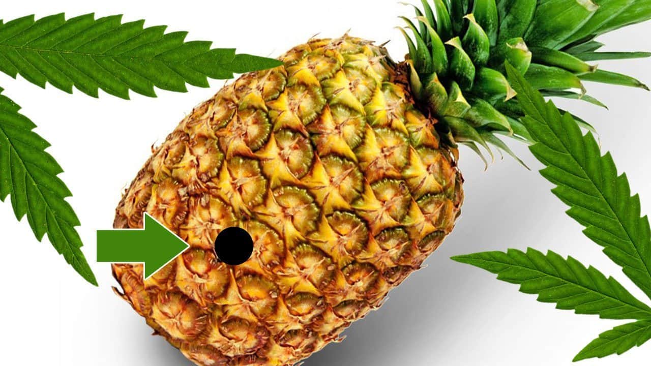 Get High AF With A Pineapple Bong