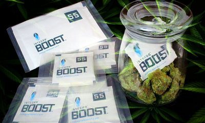 Integra Boost Will Keep Your Weed Fresh As F*ck!