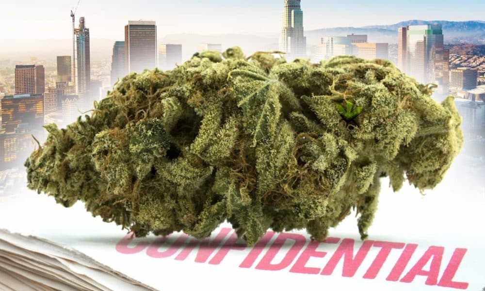 LA Confidential Strain Review and Information