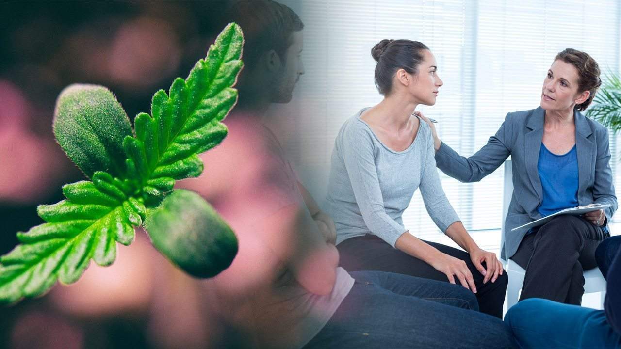 LA Rehab Center Tests Out Cannabis Treatment for Opioid Addiction