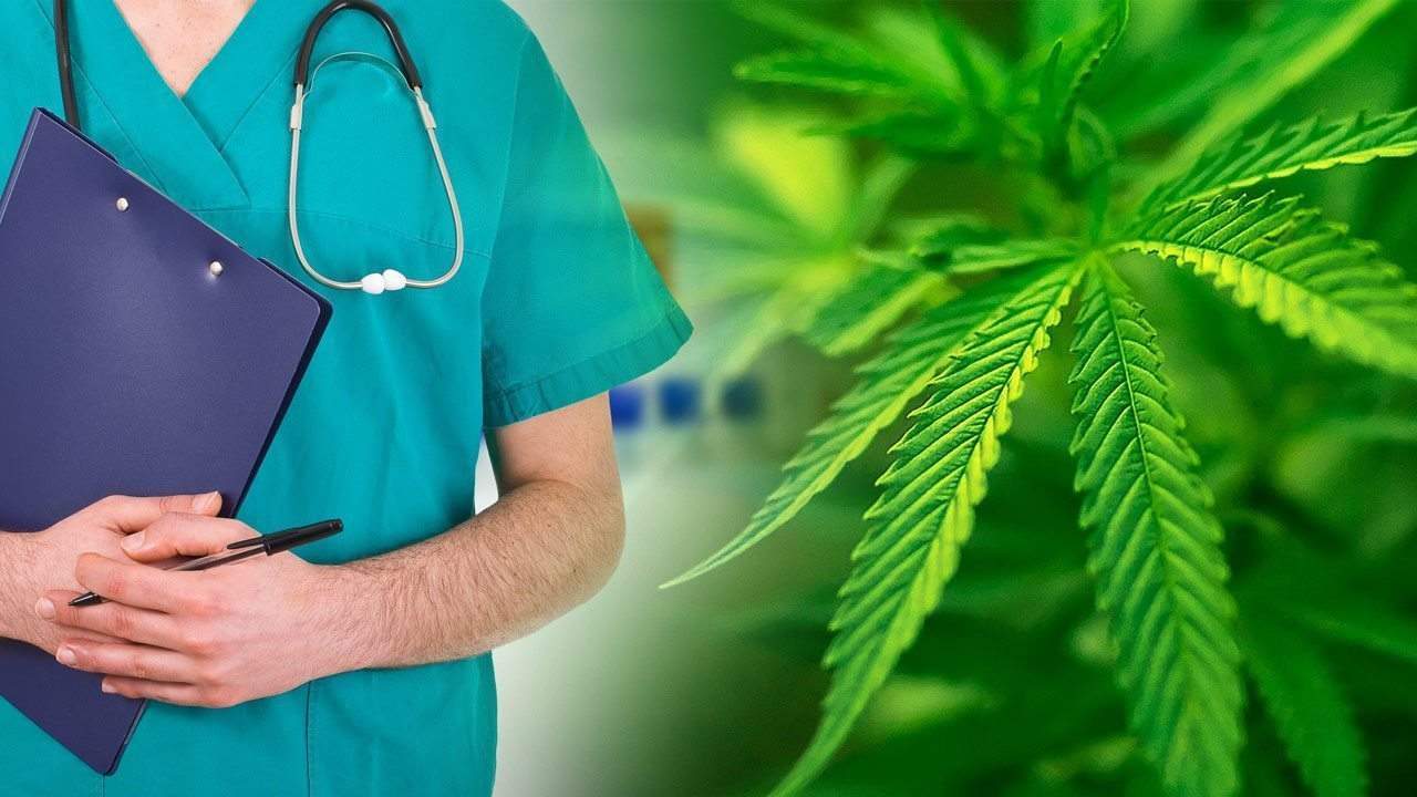 Cannabis Legalization Could Save Medicaid Over $1B