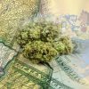 New Jersey Eyes Massive Marijuana Tax In Legalization Talks